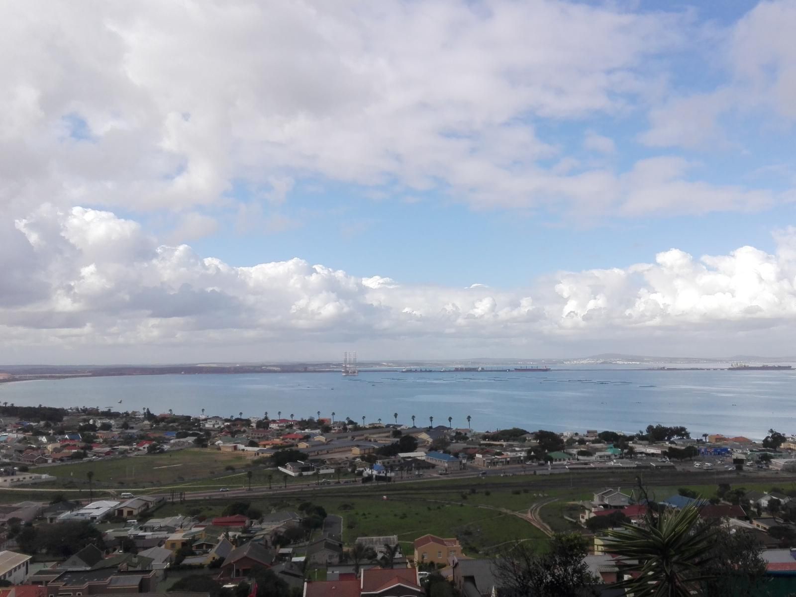 Saldanha Bay View Saldanha Western Cape South Africa Palm Tree, Plant, Nature, Wood