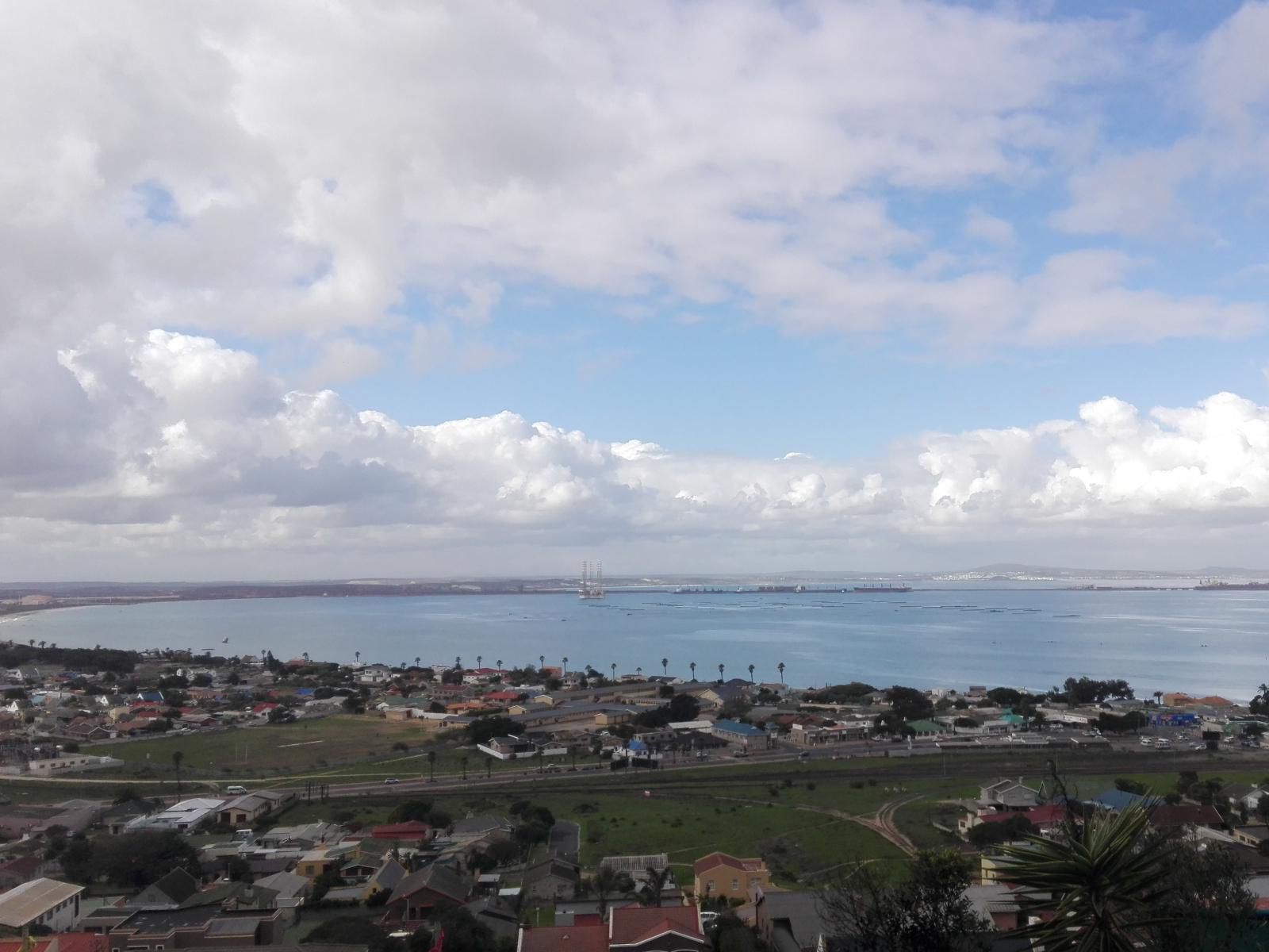 Saldanha Bay View Saldanha Western Cape South Africa Palm Tree, Plant, Nature, Wood, Aerial Photography