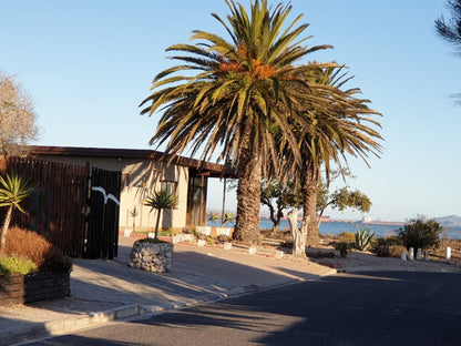 Saldanha Bay View Saldanha Western Cape South Africa Complementary Colors, Beach, Nature, Sand, Palm Tree, Plant, Wood