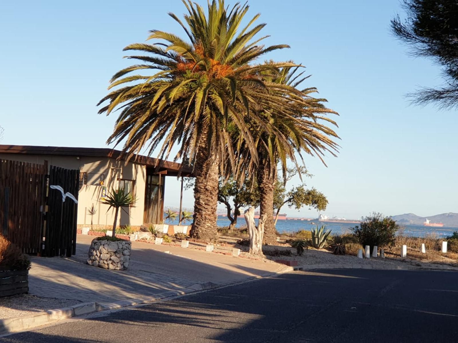 Saldanha Bay View Saldanha Western Cape South Africa Complementary Colors, Beach, Nature, Sand, Palm Tree, Plant, Wood