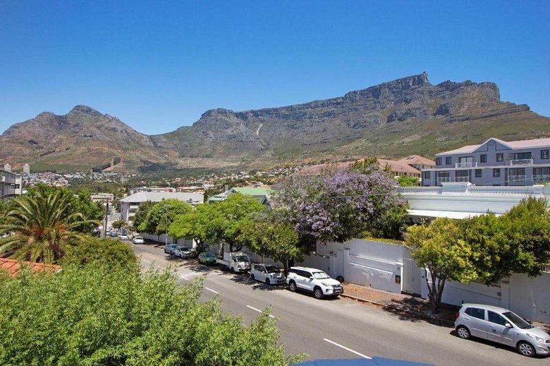 Sallray Gardens Cape Town Western Cape South Africa Complementary Colors, Nature