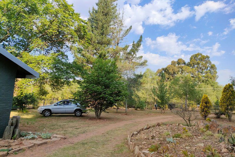 Salt On Dullstroom Dullstroom Mpumalanga South Africa Complementary Colors, Tree, Plant, Nature, Wood, Car, Vehicle