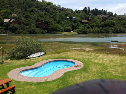 Salt River Lodge Knysna Heights Knysna Western Cape South Africa Garden, Nature, Plant, Swimming Pool