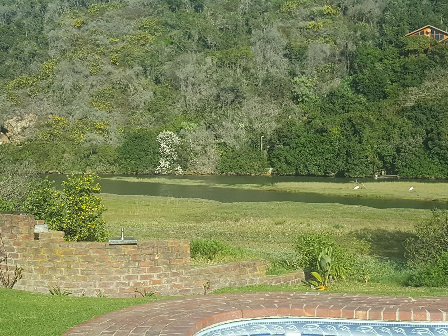 Salt River Lodge Knysna Heights Knysna Western Cape South Africa Lake, Nature, Waters, River, Tree, Plant, Wood, Garden, Highland