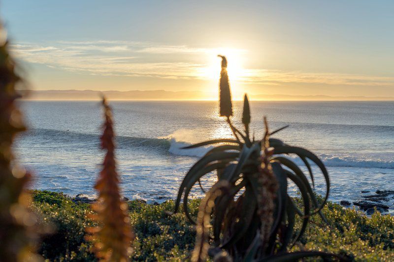 Salt Rock Lodge Wavescrest Jeffreys Bay Jeffreys Bay Eastern Cape South Africa Beach, Nature, Sand, Plant, Ocean, Waters, Sunset, Sky