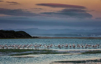 Salt Rock Lodge Wavescrest Jeffreys Bay Jeffreys Bay Eastern Cape South Africa Beach, Nature, Sand