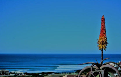 Salt Rock Lodge Wavescrest Jeffreys Bay Jeffreys Bay Eastern Cape South Africa Colorful, Beach, Nature, Sand, Ocean, Waters