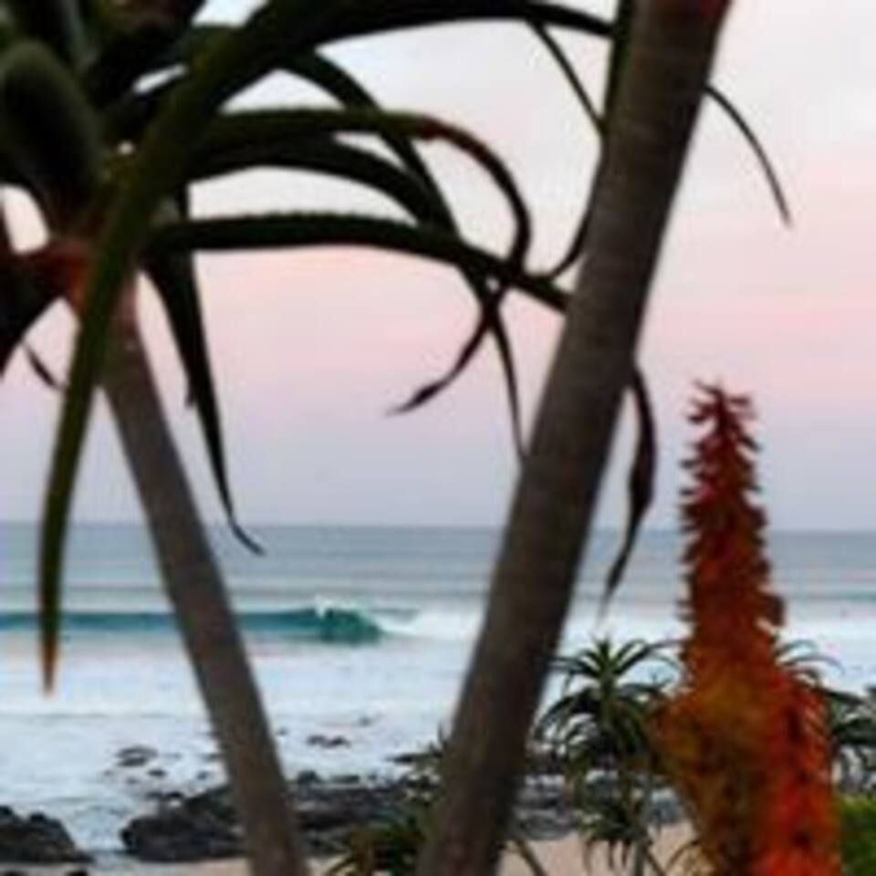 Salt Rock Lodge Wavescrest Jeffreys Bay Jeffreys Bay Eastern Cape South Africa Beach, Nature, Sand, Palm Tree, Plant, Wood, Ocean, Waters