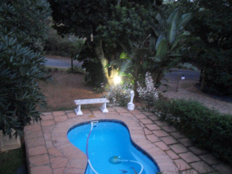 Samango Retreat Palm Beach Kwazulu Natal South Africa Palm Tree, Plant, Nature, Wood, Garden, Swimming Pool