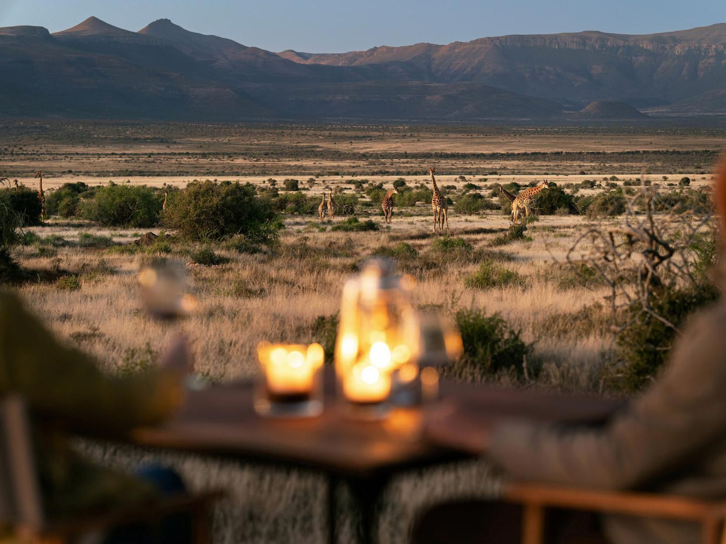 Samara Private Game Reserve Graaff Reinet Eastern Cape South Africa Desert, Nature, Sand