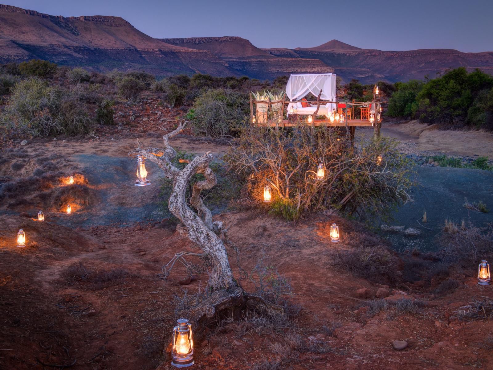 Samara Private Game Reserve Graaff Reinet Eastern Cape South Africa 