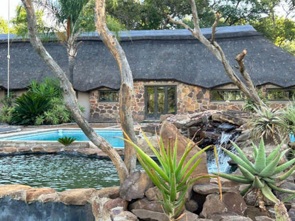 Sambane Game Lodge, Palm Tree, Plant, Nature, Wood, Garden, Swimming Pool