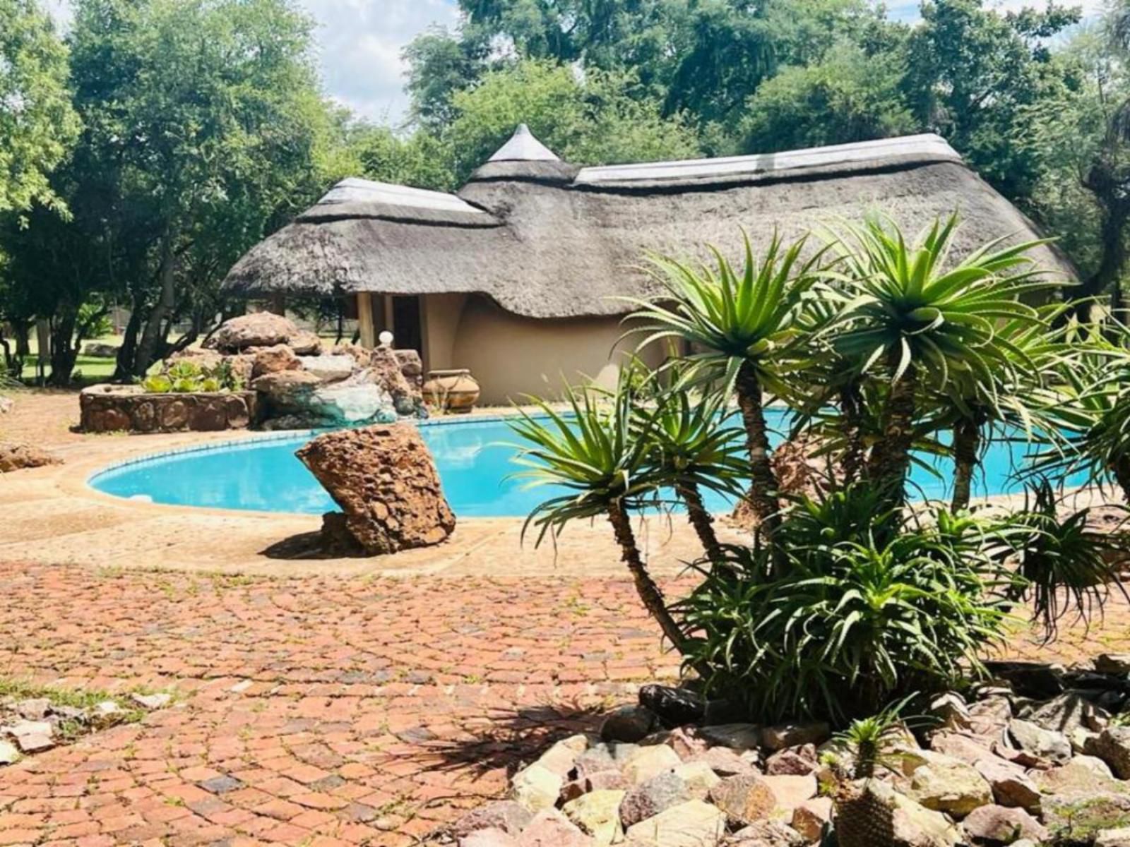 Sambane Game Lodge, Sable Camp, Palm Tree, Plant, Nature, Wood, Garden, Swimming Pool