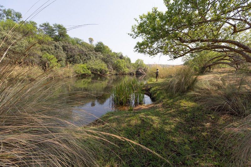 Samia Cabin Melkrivier Limpopo Province South Africa Forest, Nature, Plant, Tree, Wood, River, Waters