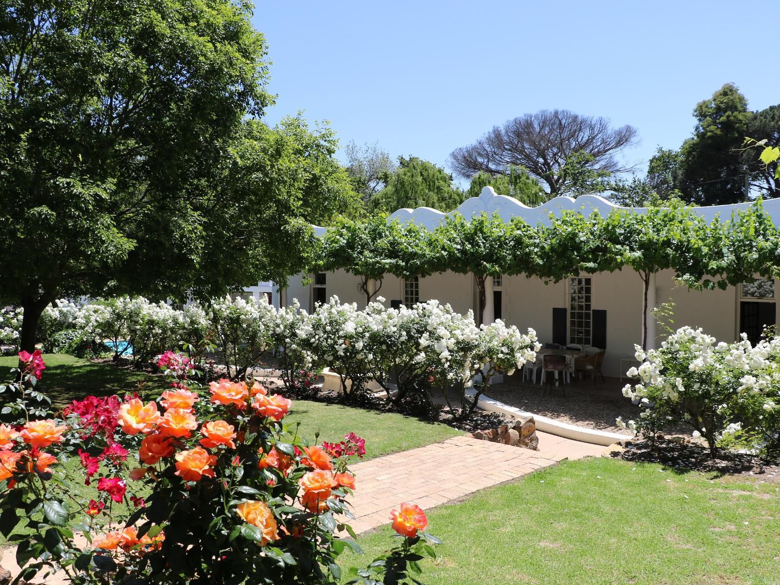 San Gabriel Historic Guest Farm Helderberg Estate Somerset West Western Cape South Africa Complementary Colors, House, Building, Architecture, Plant, Nature, Garden