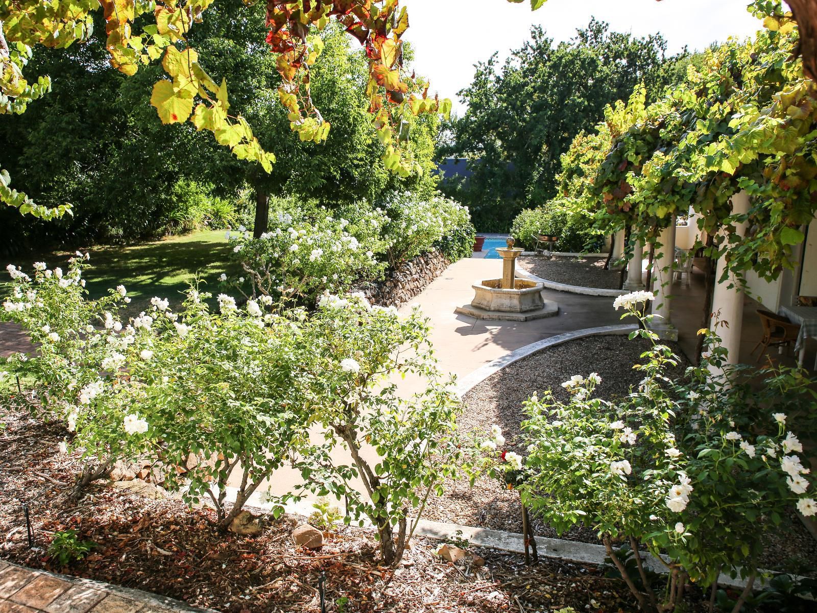 San Gabriel Historic Guest Farm Helderberg Estate Somerset West Western Cape South Africa Plant, Nature, Garden