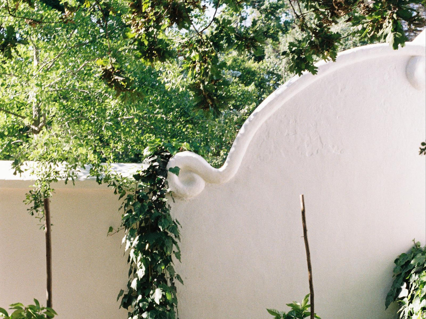 Private Cottage with a Forest View @ San Gabriel Historic Guest Farm