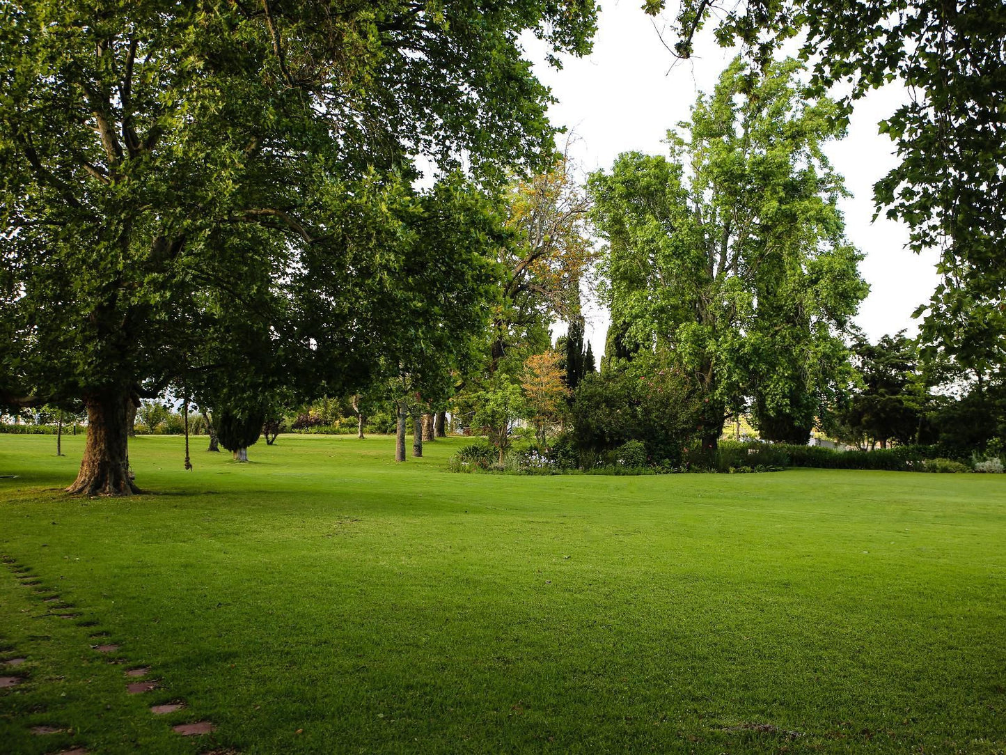 San Gabriel Homestead, Tree, Plant, Nature, Wood, Ball Game, Sport