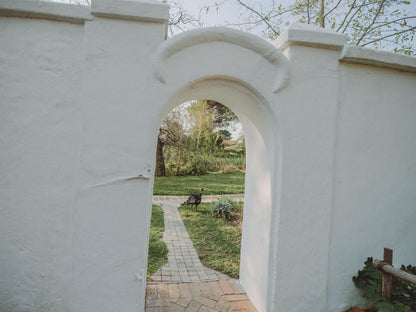 San Gabriel Homestead, Dog, Mammal, Animal, Pet, Garden, Nature, Plant