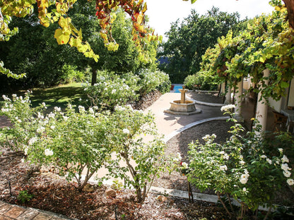 San Gabriel Homestead, Plant, Nature, Garden