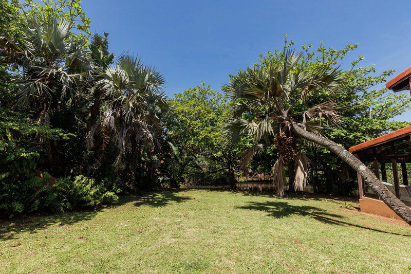 San Lameer 3502 San Lameer Southbroom Kwazulu Natal South Africa Complementary Colors, Palm Tree, Plant, Nature, Wood, Garden