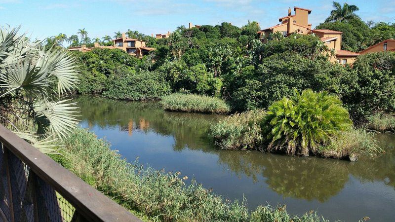 San Lameer San Lameer Southbroom Kwazulu Natal South Africa 1 Palm Tree, Plant, Nature, Wood, River, Waters