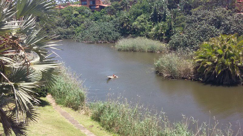 San Lameer San Lameer Southbroom Kwazulu Natal South Africa 1 Duck, Bird, Animal, River, Nature, Waters