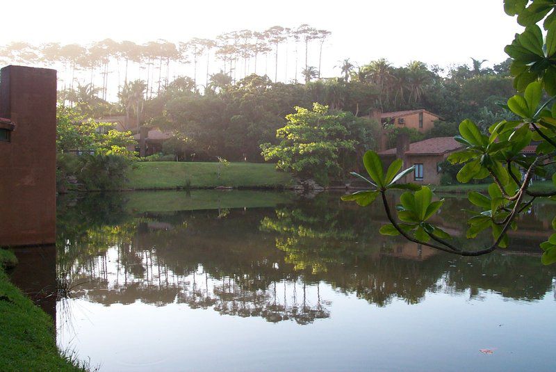 San Lameer Villa 1906 San Lameer Southbroom Kwazulu Natal South Africa Lake, Nature, Waters, Palm Tree, Plant, Wood, River