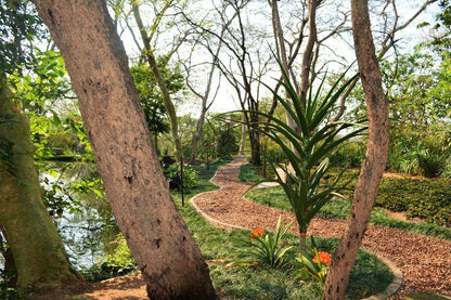 Sanbonani Resort And Hotel Hazyview Mpumalanga South Africa Plant, Nature, Tree, Wood, Garden