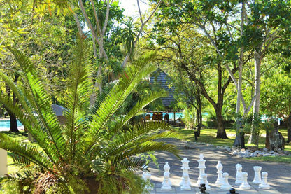 Sanbonani Resort And Hotel Hazyview Mpumalanga South Africa Palm Tree, Plant, Nature, Wood