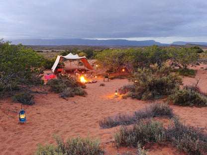 Sanbona Wildlife Reserve Sanbona Wildlife Reserve Western Cape South Africa Complementary Colors, Desert, Nature, Sand