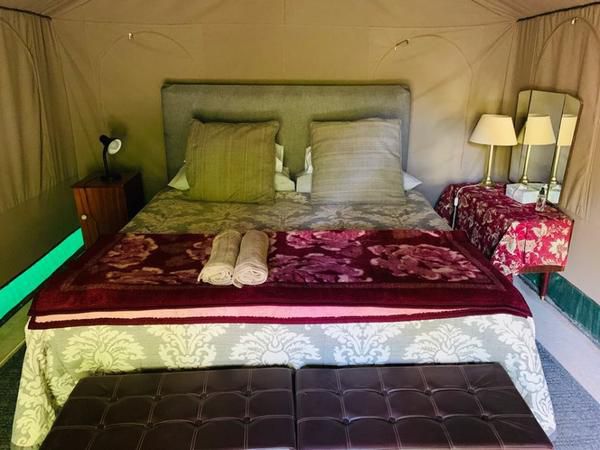 Sanctuary Guest And Adventure Farm Cradock Eastern Cape South Africa Bedroom