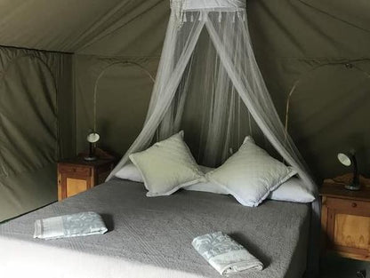 Sanctuary Guest And Adventure Farm Cradock Eastern Cape South Africa Tent, Architecture, Bedroom