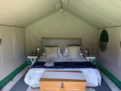 Sanctuary Guest And Adventure Farm Cradock Eastern Cape South Africa Tent, Architecture, Bedroom