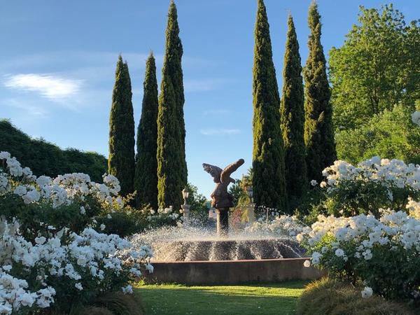 Sanctuary Guest And Adventure Farm Cradock Eastern Cape South Africa Fountain, Architecture, Plant, Nature, Garden