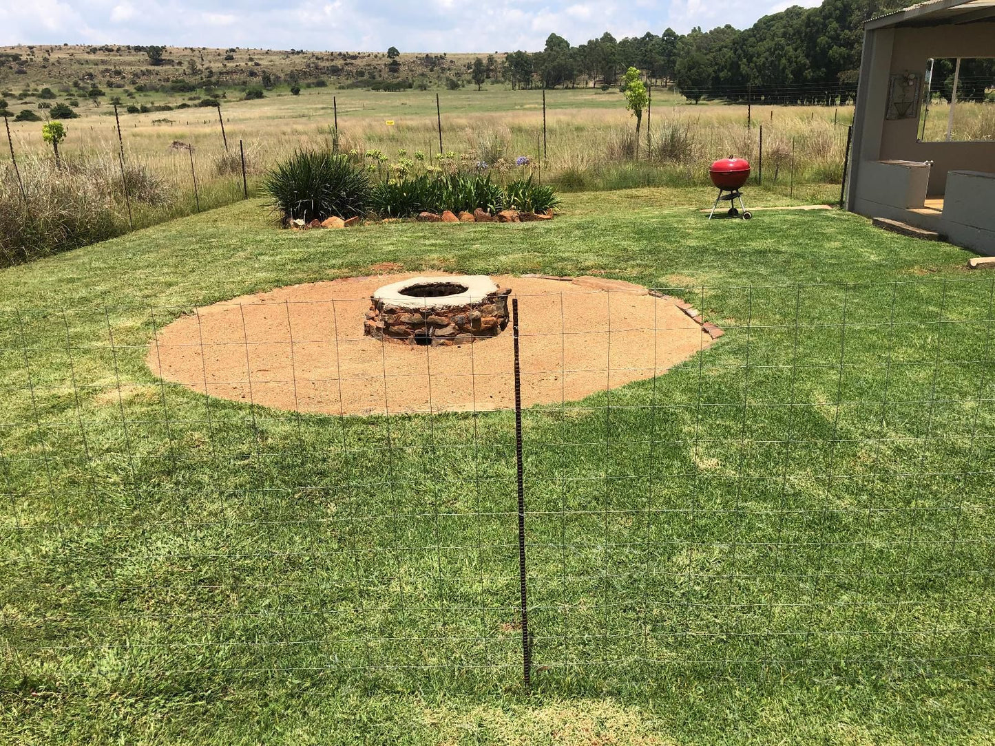Sanctuary Life Guest Farm Syferbult North West Province South Africa Ball Game, Sport, Garden, Nature, Plant