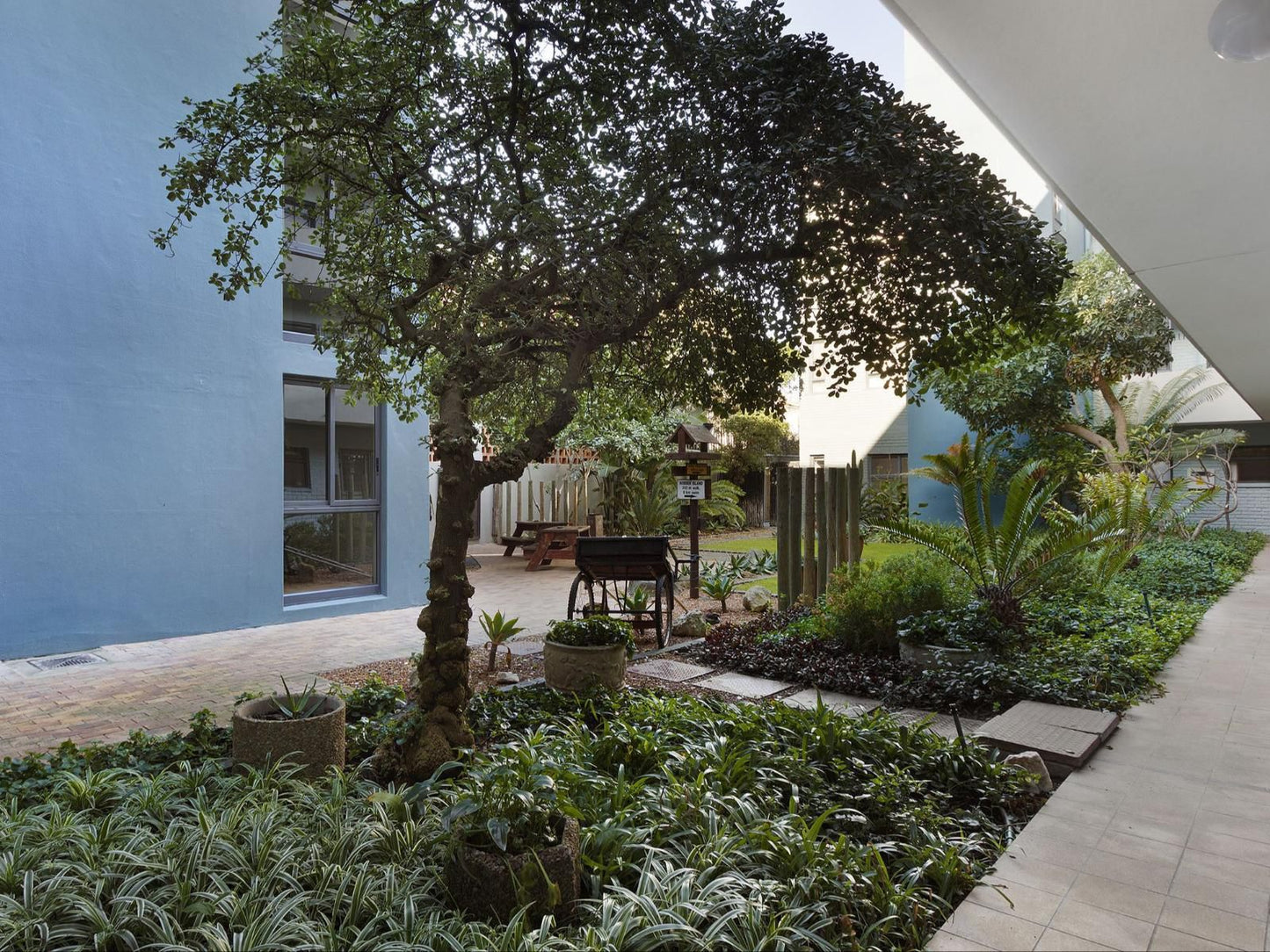 Sand And See 302 By Hostagents Bloubergstrand Blouberg Western Cape South Africa House, Building, Architecture, Palm Tree, Plant, Nature, Wood, Garden