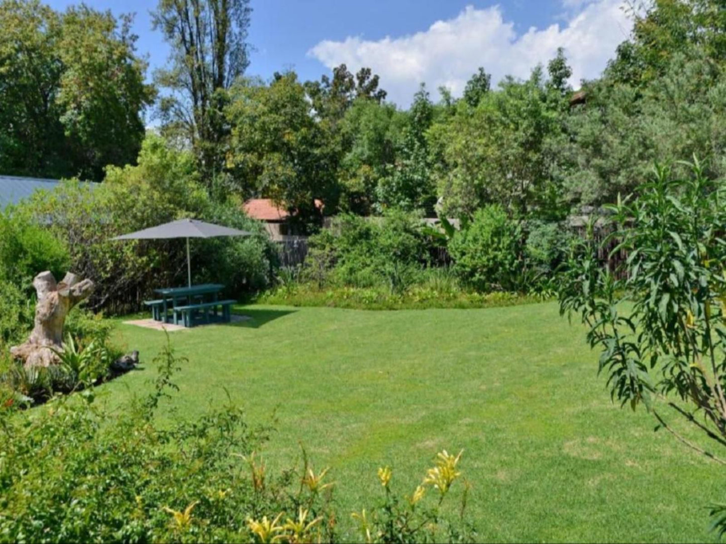 Sand River Guest House, Plant, Nature, Tree, Wood, Garden