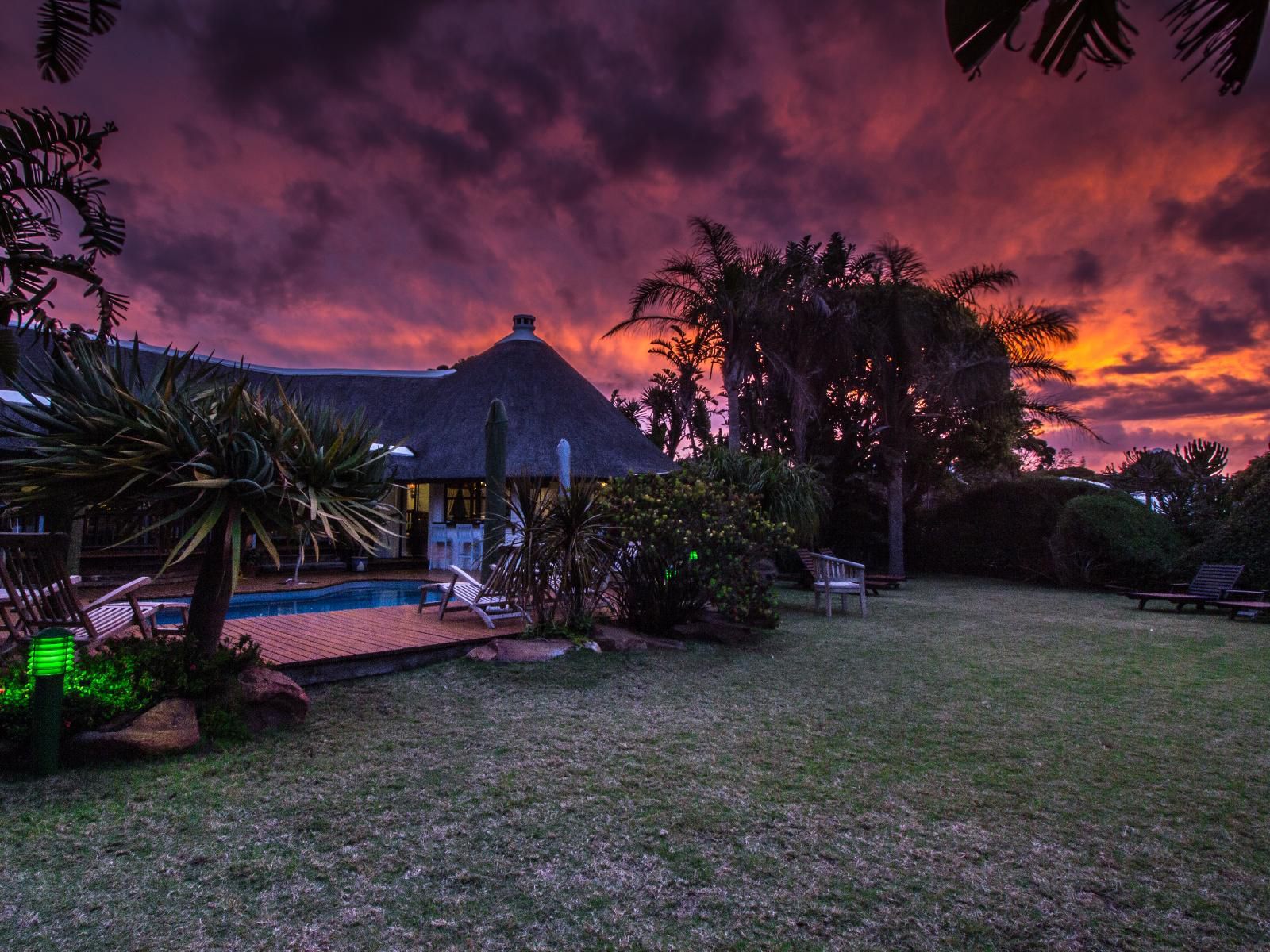 Sandals Guest House St Francis Bay Eastern Cape South Africa Palm Tree, Plant, Nature, Wood