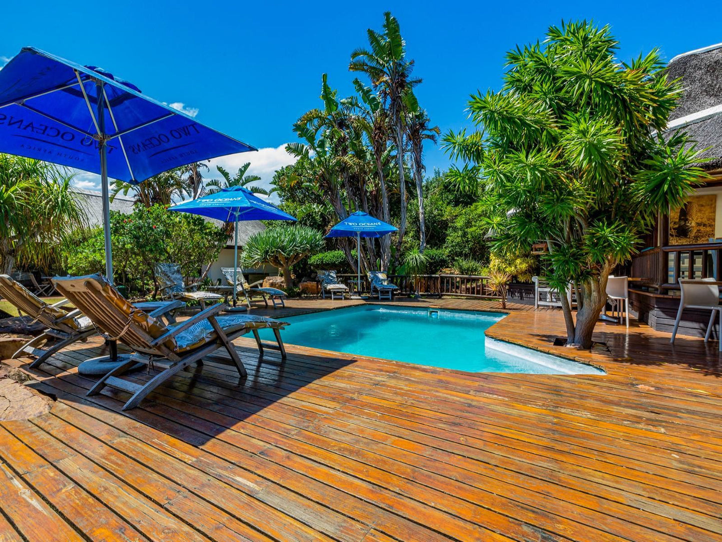 Sandals Guest House St Francis Bay Eastern Cape South Africa Complementary Colors, Palm Tree, Plant, Nature, Wood, Swimming Pool