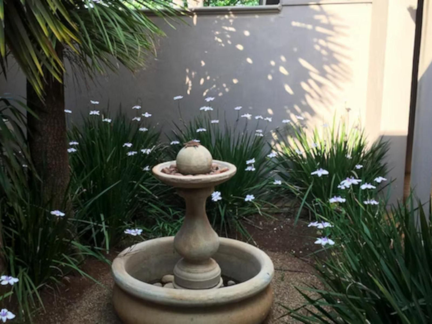 Sandalwood Guest House Springs Gauteng South Africa Fountain, Architecture, Garden, Nature, Plant