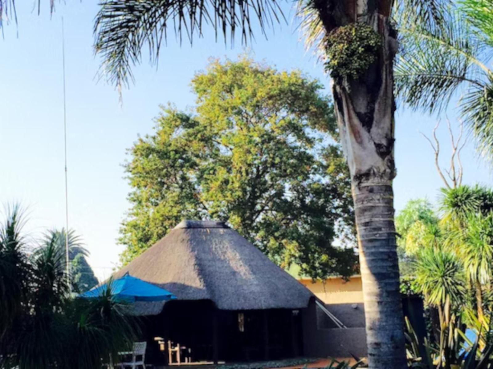 Sandalwood Guest House Springs Gauteng South Africa Complementary Colors, Palm Tree, Plant, Nature, Wood