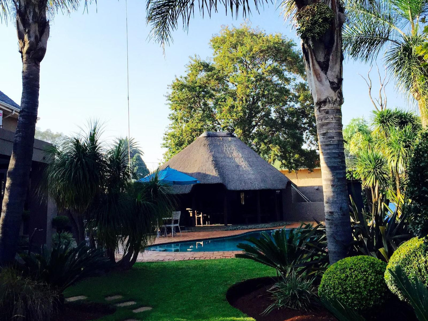 Sandalwood Guest House Springs Gauteng South Africa Palm Tree, Plant, Nature, Wood