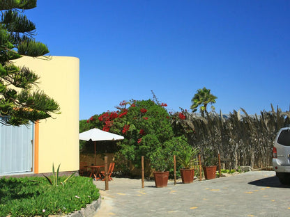 Sandcastle B&B And Self-Catering Apartments, Beach, Nature, Sand, Palm Tree, Plant, Wood