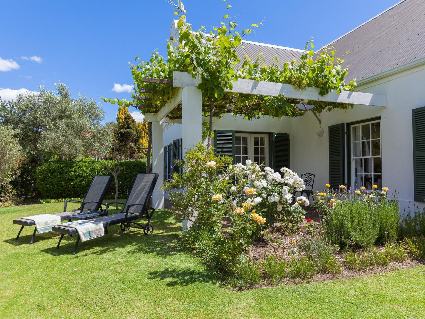 Sanddrif Guest Farm Stellenbosch Farms Stellenbosch Western Cape South Africa Complementary Colors, House, Building, Architecture, Garden, Nature, Plant