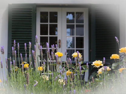 Sanddrif Guest Farm Stellenbosch Farms Stellenbosch Western Cape South Africa Unsaturated, Flower, Plant, Nature, House, Building, Architecture, Garden