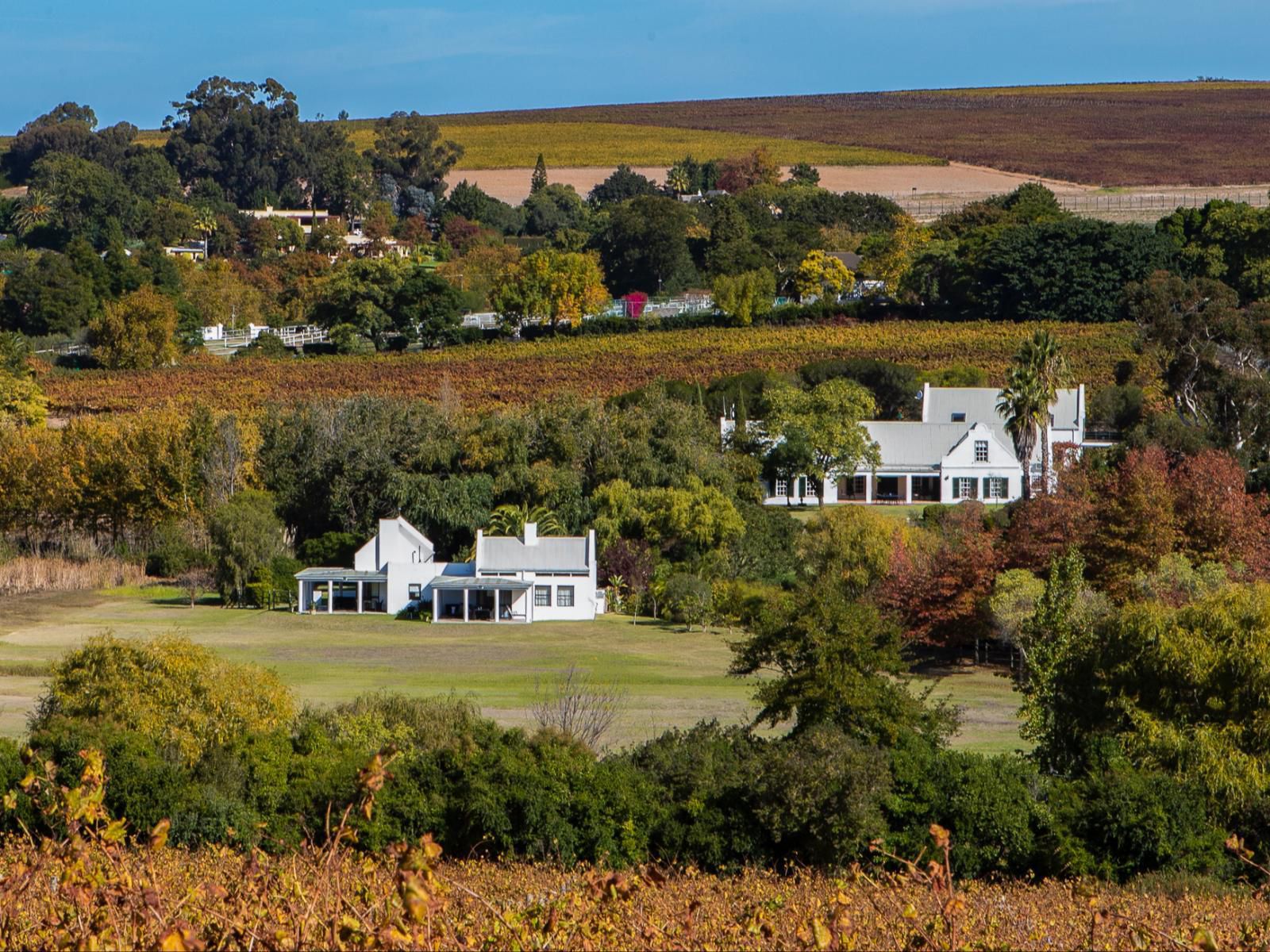 Sanddrif Guest Farm Stellenbosch Farms Stellenbosch Western Cape South Africa House, Building, Architecture