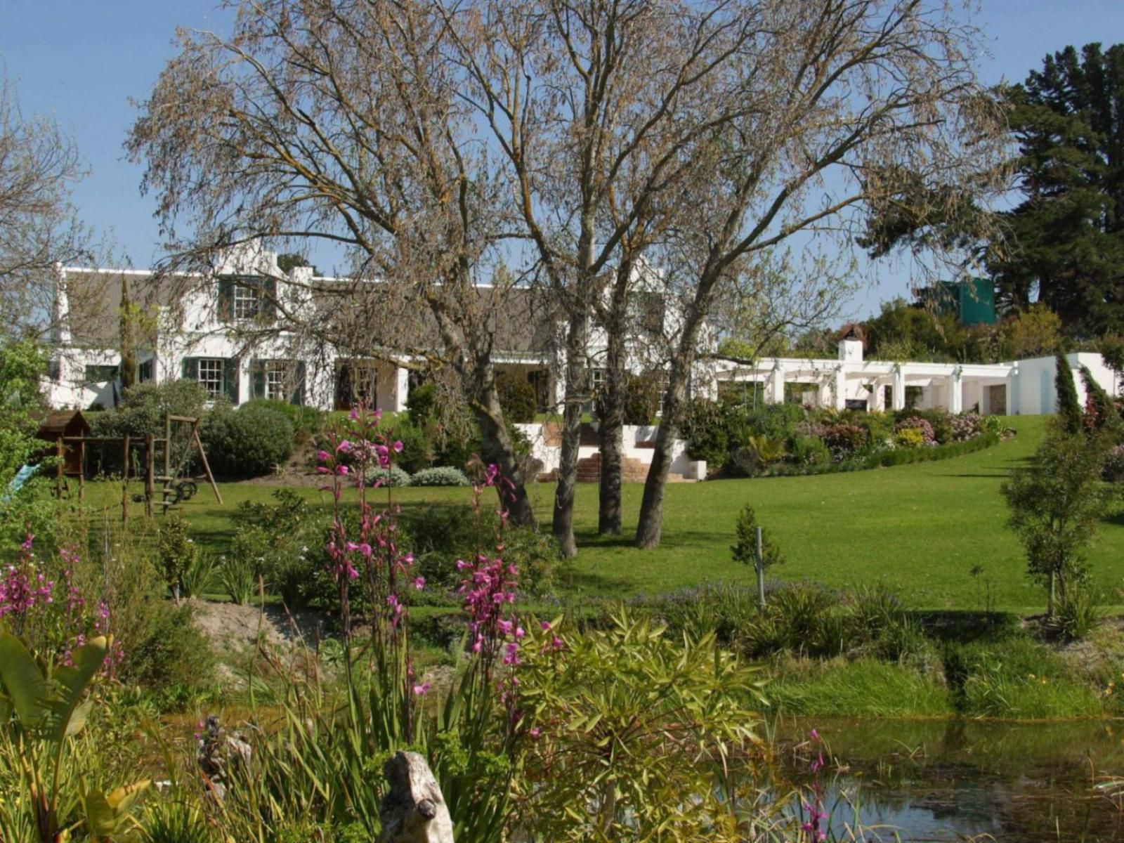 Sanddrif Guest Farm Stellenbosch Farms Stellenbosch Western Cape South Africa House, Building, Architecture, Plant, Nature, Garden