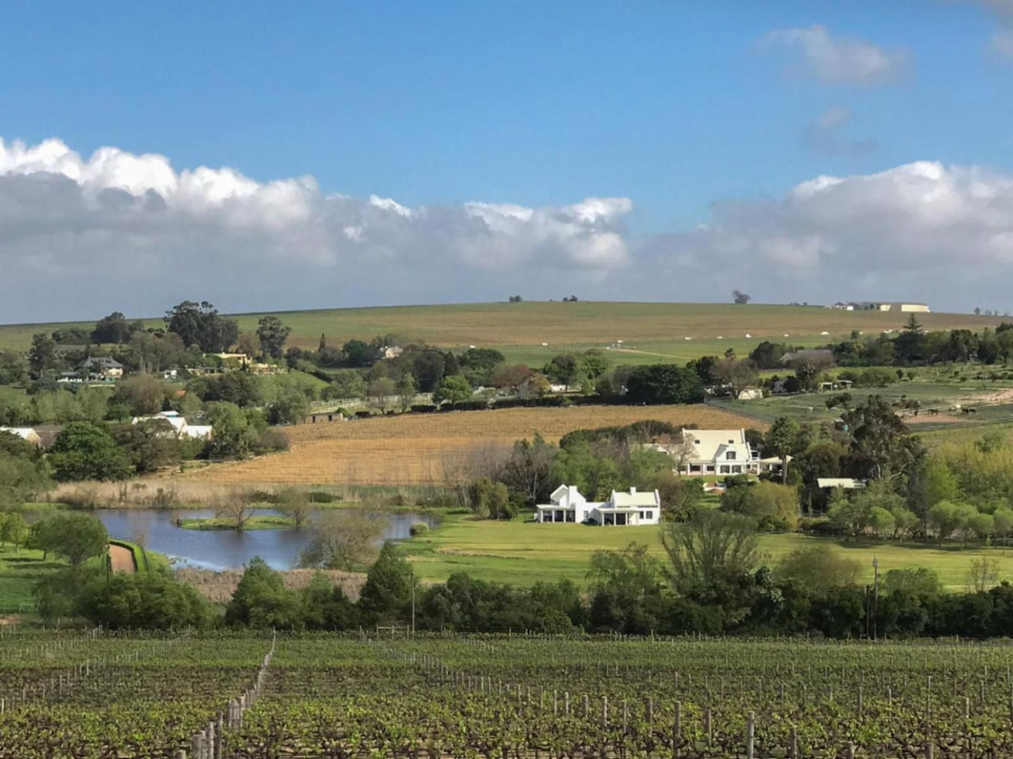 Sanddrif Guest Farm Stellenbosch Farms Stellenbosch Western Cape South Africa Complementary Colors, Field, Nature, Agriculture