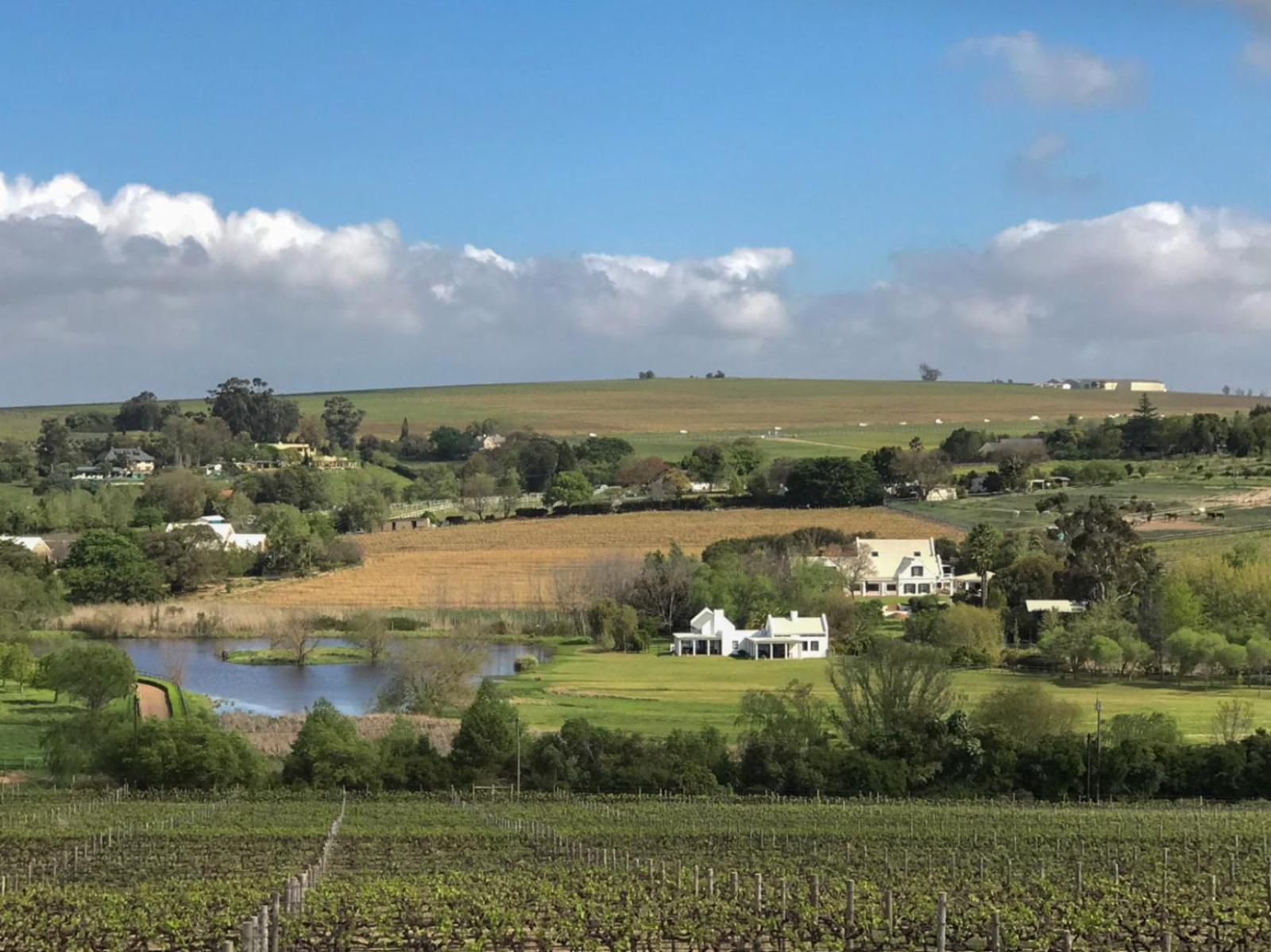 Sanddrif Guest Farm Stellenbosch Farms Stellenbosch Western Cape South Africa Complementary Colors, Field, Nature, Agriculture